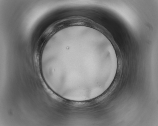 X0000111031439200908061426