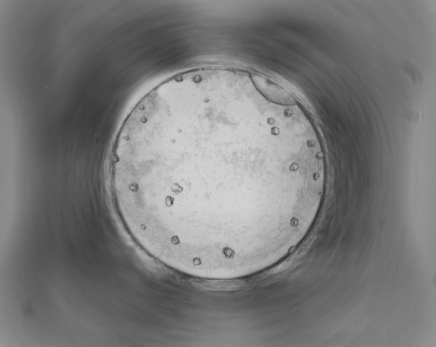 X0000111031440200908061426