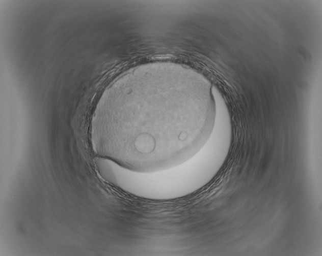 X0000111031441200908061425