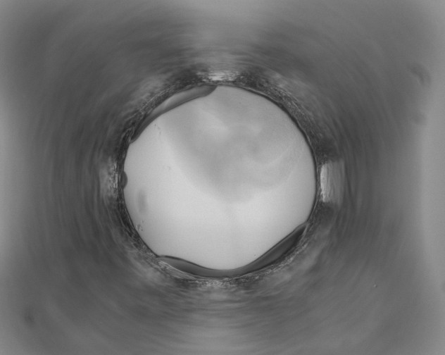 X0000111031443200908061425