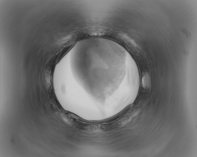 X0000111031444200908061425