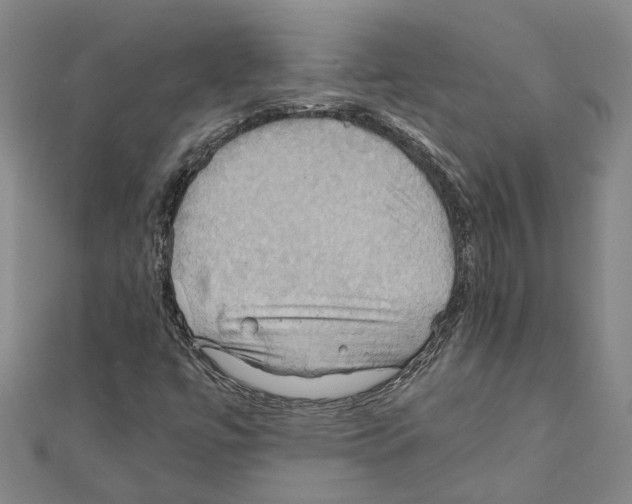 X0000111031447200908061425