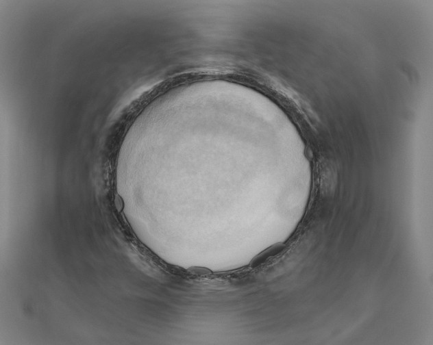 X0000111031448200908061425