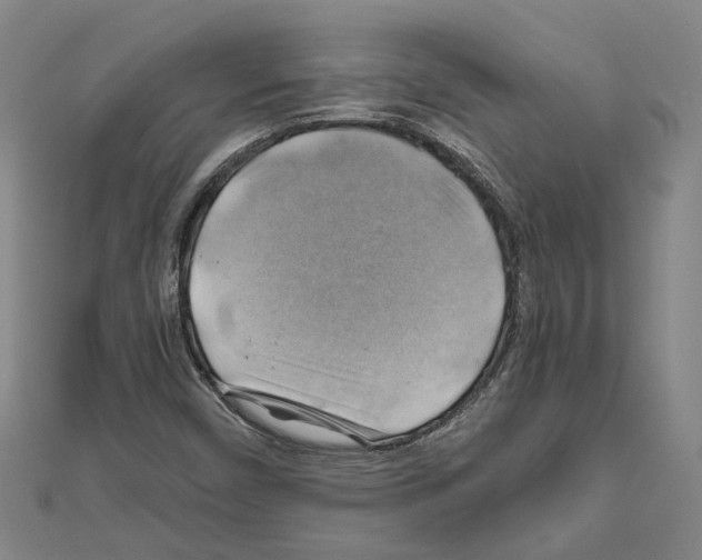 X0000111031450200908061425