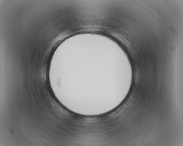 X0000111031451200908061425