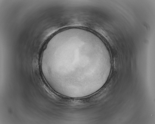 X0000111031452200908061425