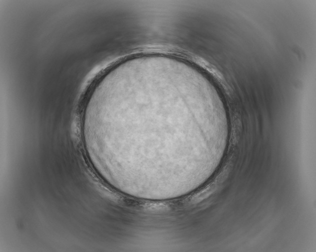 X0000111031454200908061425