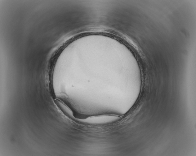 X0000111031456200908061425