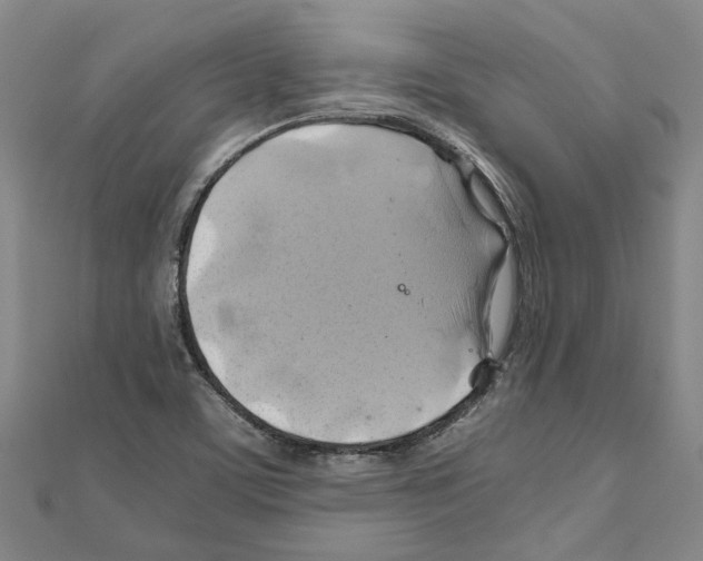 X0000111031459200908061425