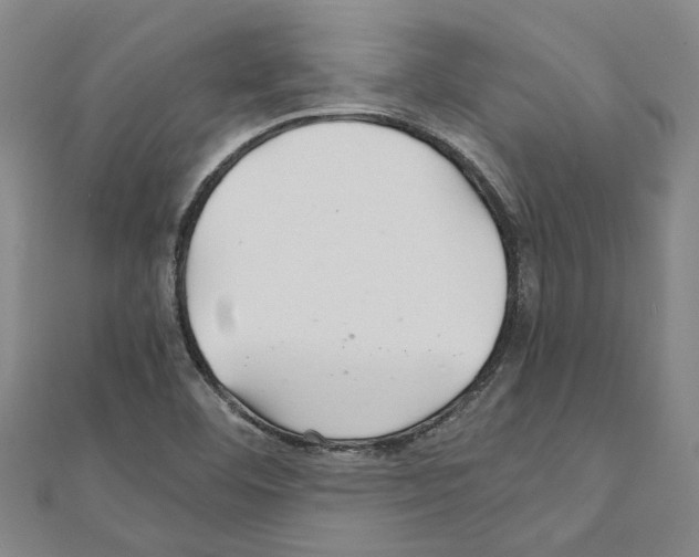 X0000111031460200908061425