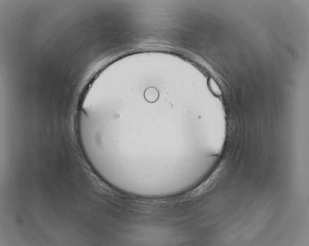 X0000111031461200908061425