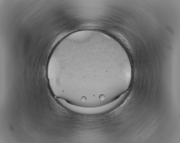 X0000111031465200908061425