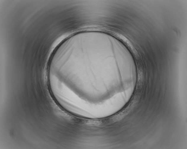 X0000111031466200908061425