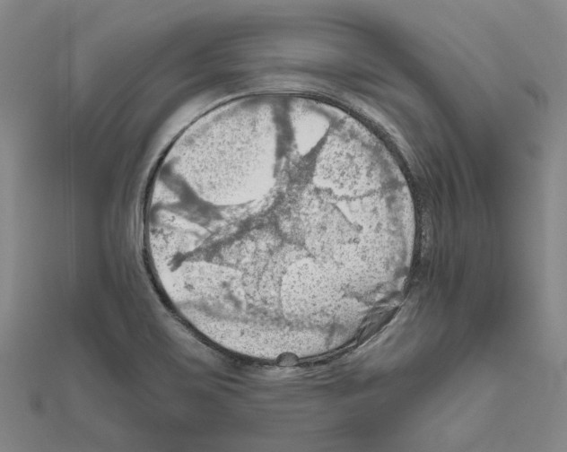 X0000111031467200908061425