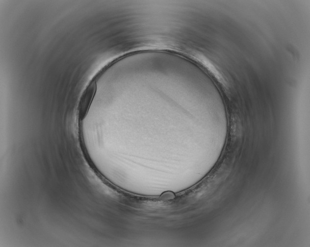 X0000111031468200908061425