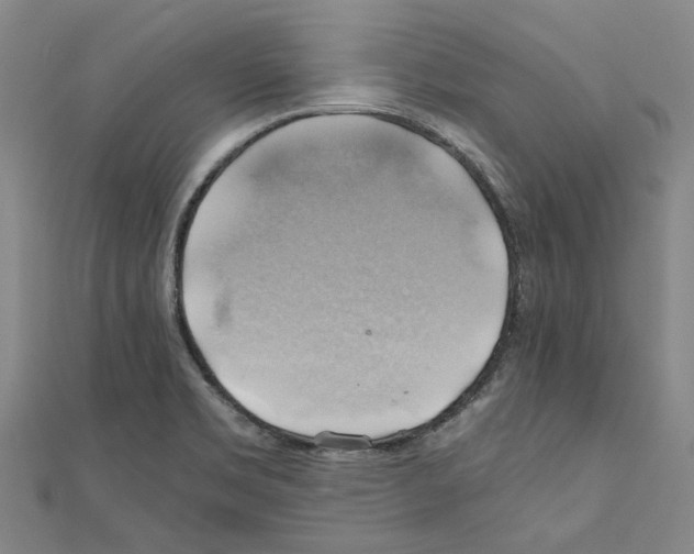 X0000111031469200908061425