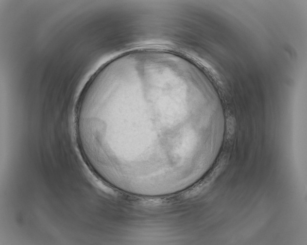 X0000111031470200908061425