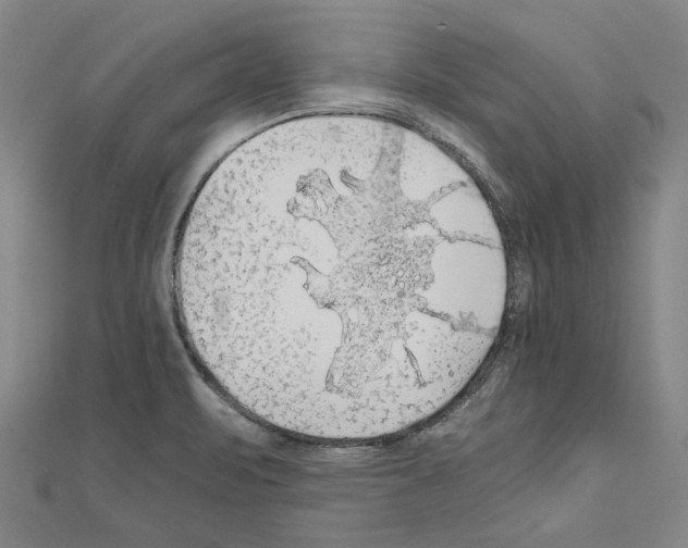 X0000111031471200908061425