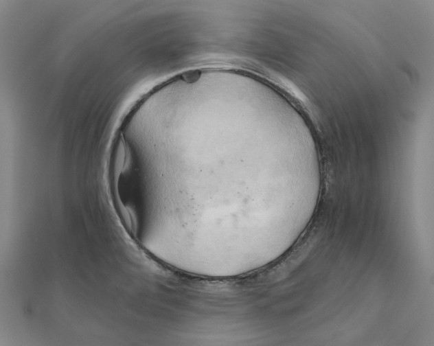 X0000111031472200908061425