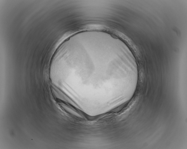 X0000111031473200908061425