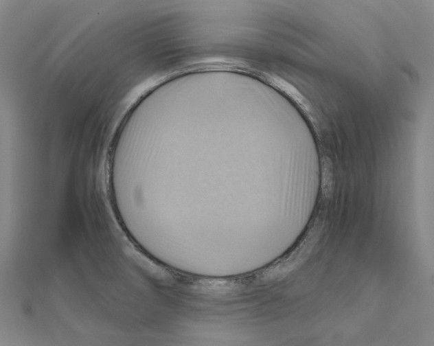 X0000111031474200908061425