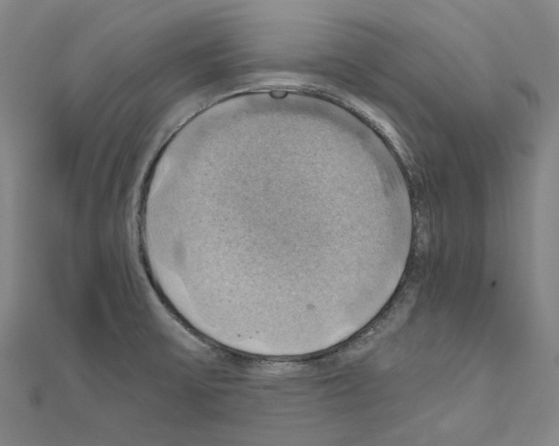 X0000111031475200908061425