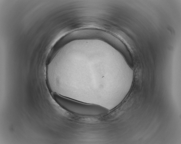 X0000111031476200908061425