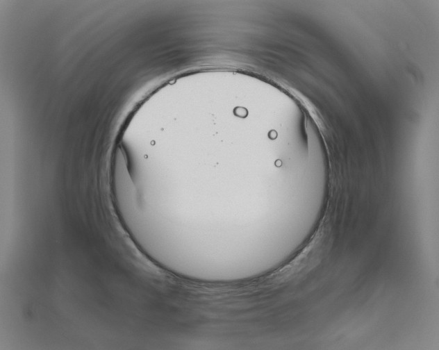 X0000111031477200908061425