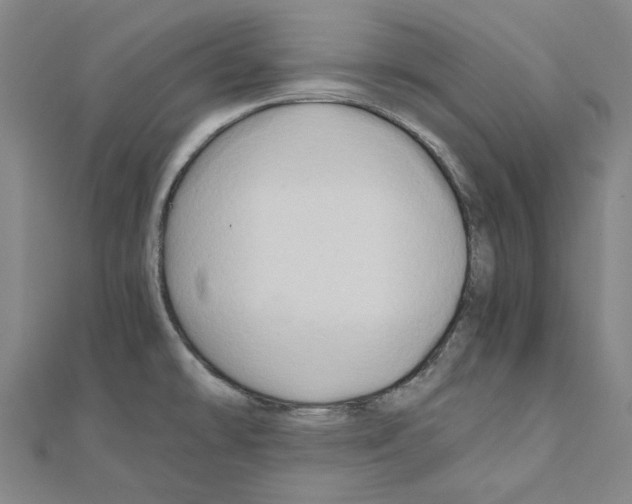 X0000111031478200908061425