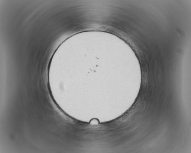 X0000111031479200908061425