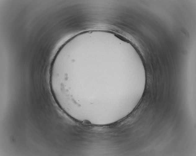 X0000111031480200908061425