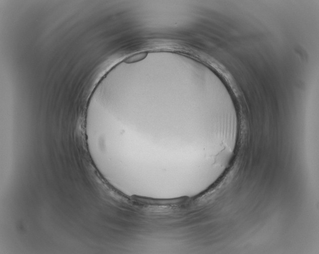 X0000111031481200908061425