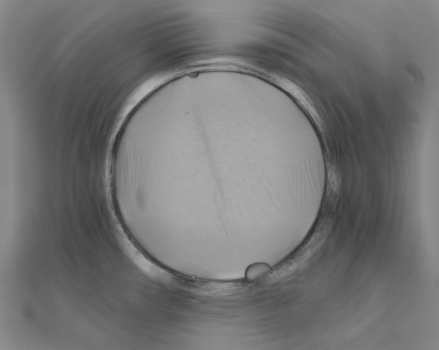 X0000111031482200908061425