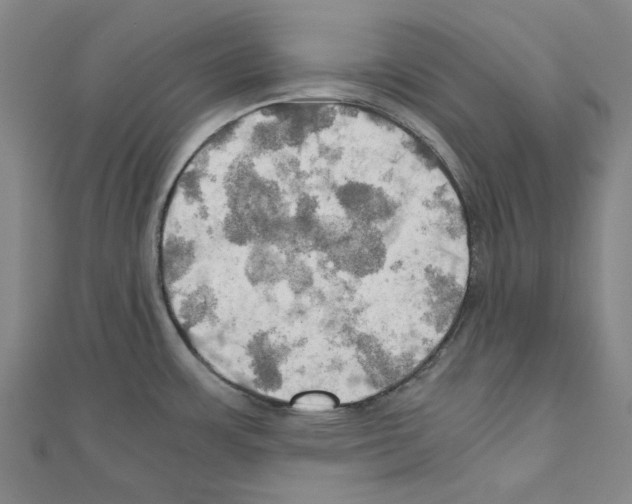 X0000111031483200908061425