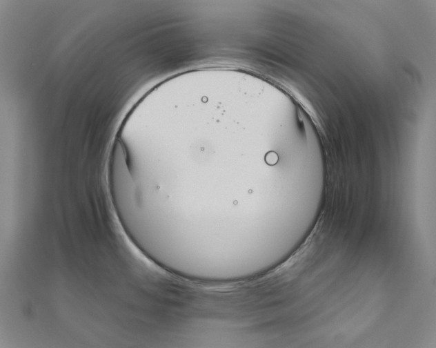 X0000111031484200908061425