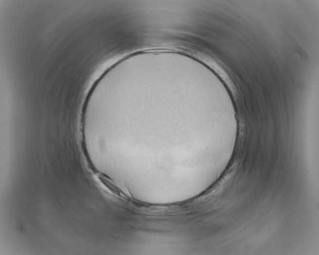 X0000111031485200908061425