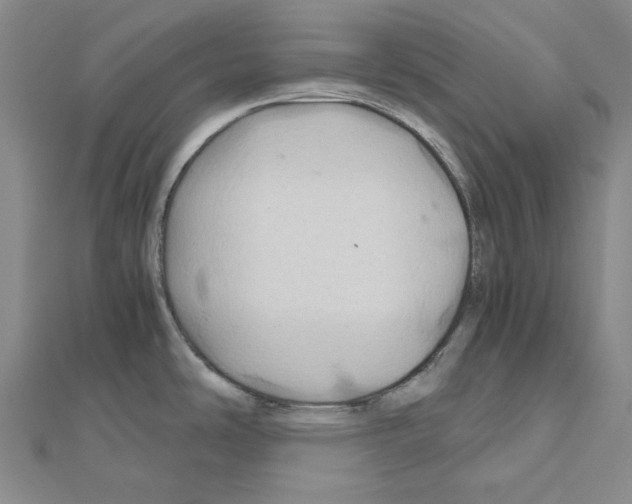 X0000111031486200908061425