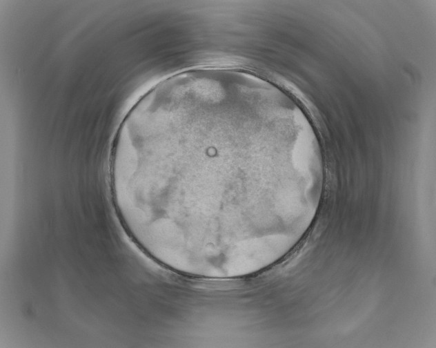 X0000111031487200908061425