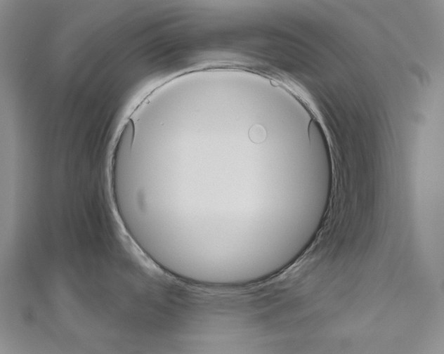 X0000111031488200908061425