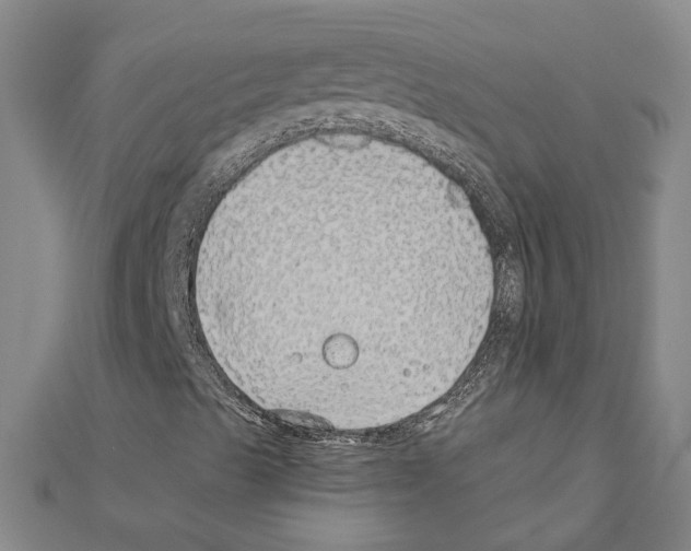 X0000111031489200908061424