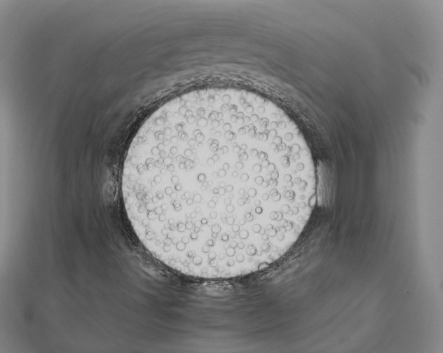 X0000111031491200908061424