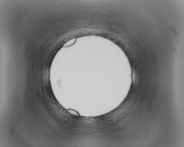 X0000111031492200908061424