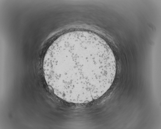 X0000111031494200908061424