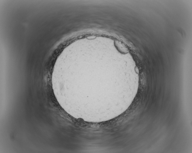 X0000111031495200908061424