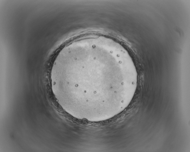 X0000111031496200908061424