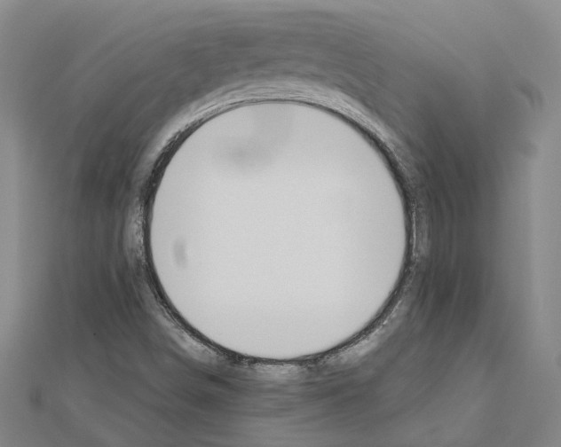 X0000111031498200908061424