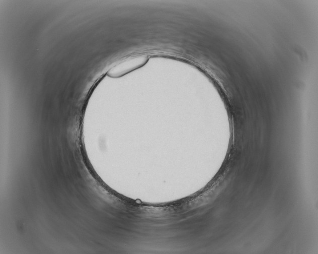 X0000111031500200908061424