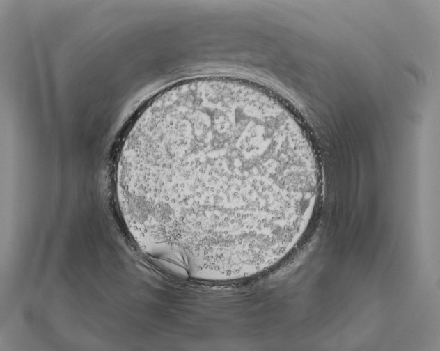 X0000111031501200908061424