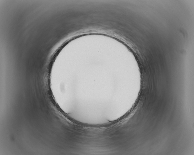 X0000111031502200908061424