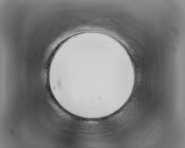 X0000111031503200908061424